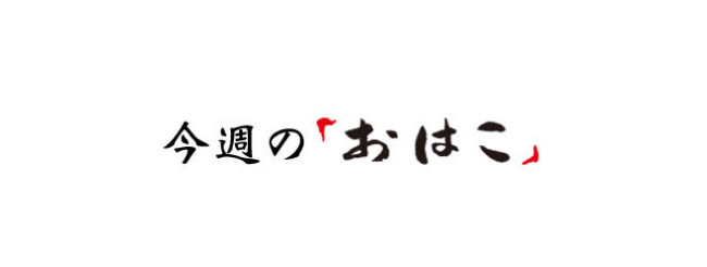 今週の新作