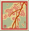 桜シリーズ